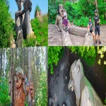 E-adventure Central Forgotten Giants