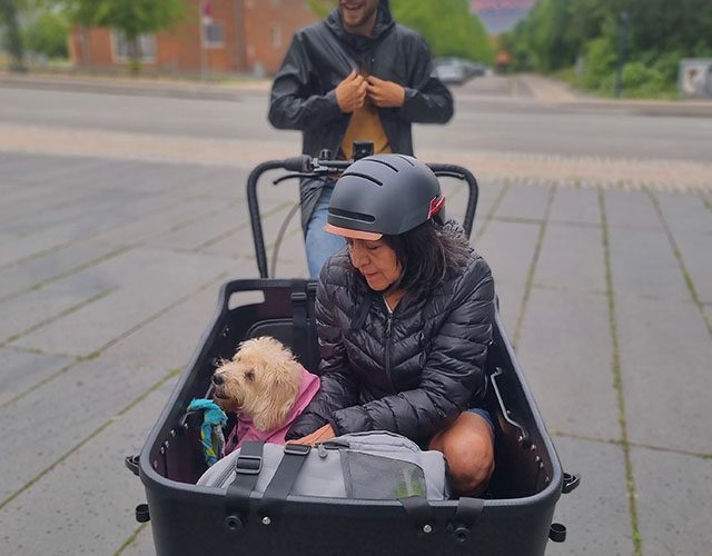 rent e-bike copenhagen denmark e-adventures bike tour in copenhagen