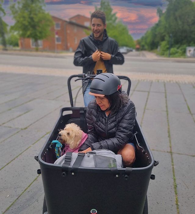 rent e-bike copenhagen denmark e-adventures bike tour in copenhagen