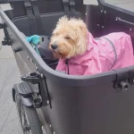 e bike tour adventure copenhagen Humlebæk denmark rent e bike