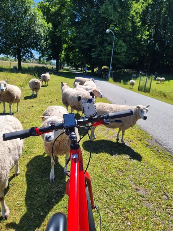 The Northern forgotten giants ebike tours adventures copenhagen denmark e bike tours