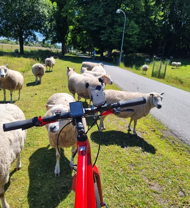 The Northern forgotten giants ebike tours adventures copenhagen denmark e bike tours