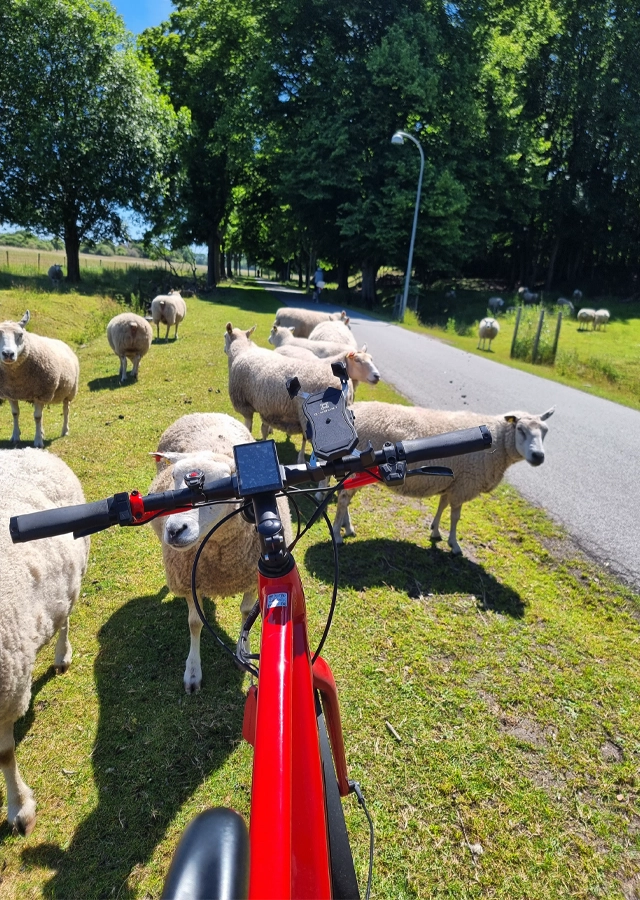 The Northern forgotten giants ebike tours adventures copenhagen denmark e bike tours