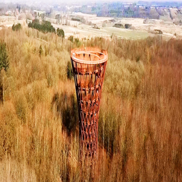 drone forest tower drone