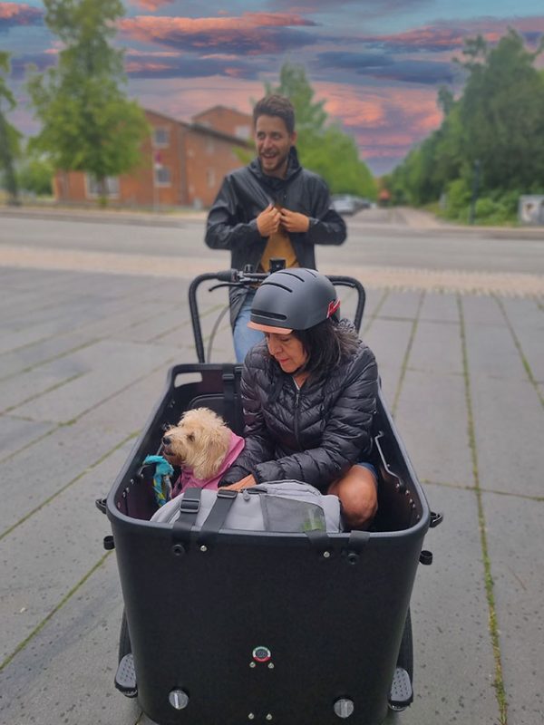 rent e-bike copenhagen denmark e-adventures bike tour in copenhagen